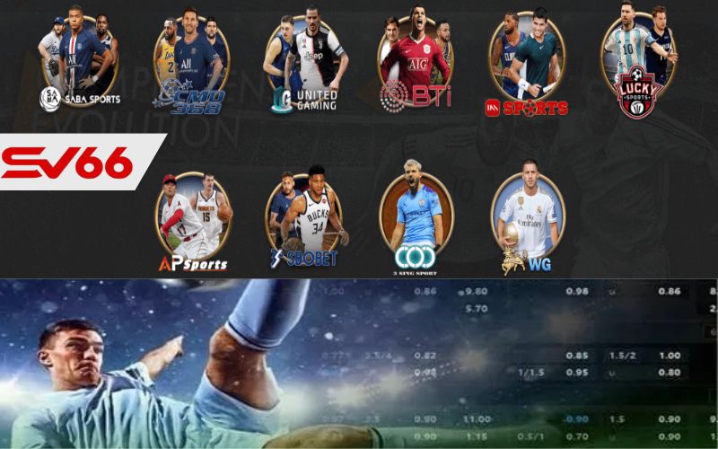 Các sảnh cược thể thao tại SV66
