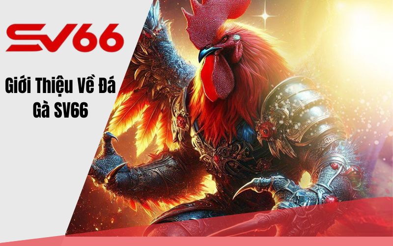 Giới thiệu về đá gà SV66