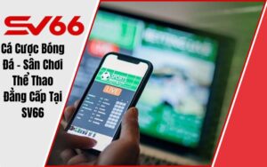 Cá Cược Bóng Đá - Sân Chơi Thể Thao Đẳng Cấp Quốc Tế