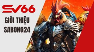 Giới Thiệu SABONG24