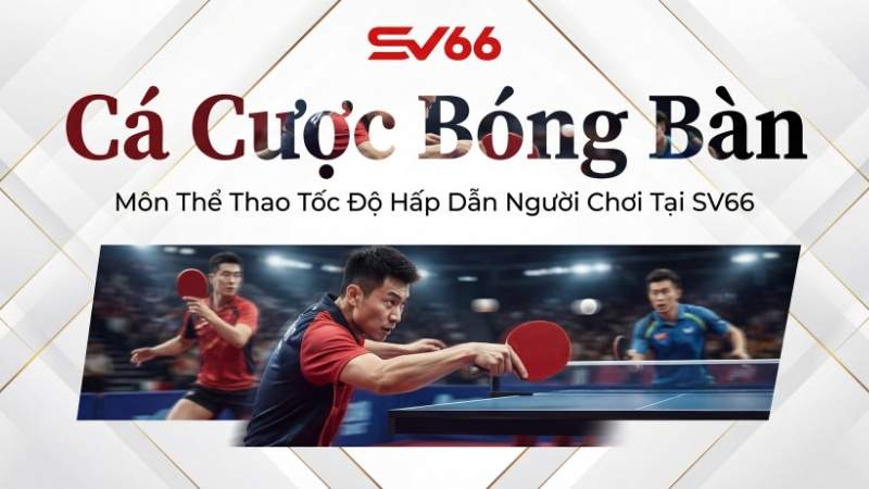 Cá Cược Bóng Bàn – Môn Thể Thao Tốc Độ Hấp Dẫn Người Chơi Tại SV66
