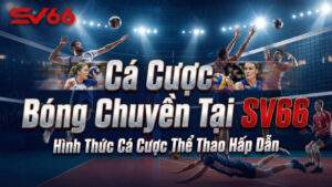 Cá Cược Bóng Chuyền Tại SV66 – Hình Thức Cá Cược Thể Thao Hấp Dẫn