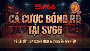 Cá Cược Bóng Rổ Tại SV66 – Tỷ Lệ Tốt, Đa Dạng Kèo & Chuyên Nghiệp