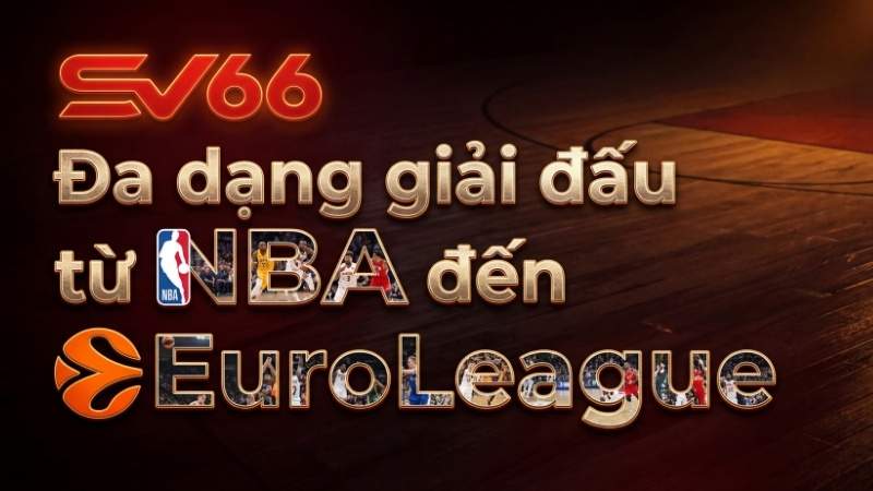 Đa dạng giải đấu từ NBA đến EuroLeague