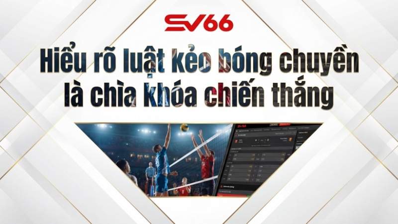 Hiểu rõ luật kèo bóng chuyền là chìa khóa chiến thắng