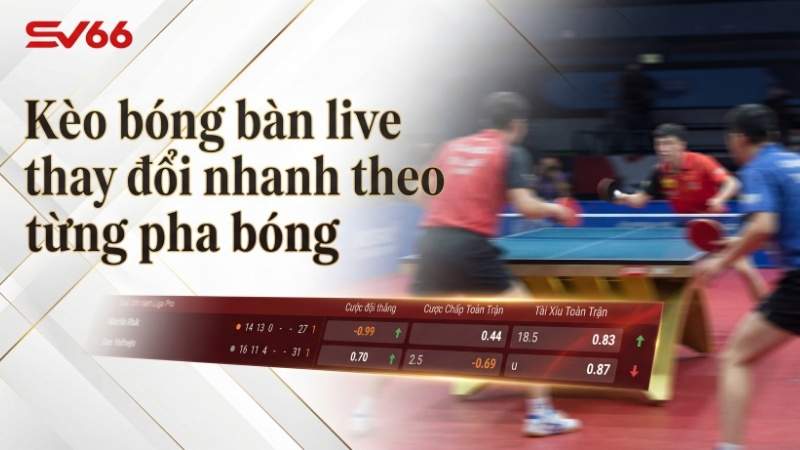 Kèo bóng bàn live thay đổi nhanh theo từng pha bóng