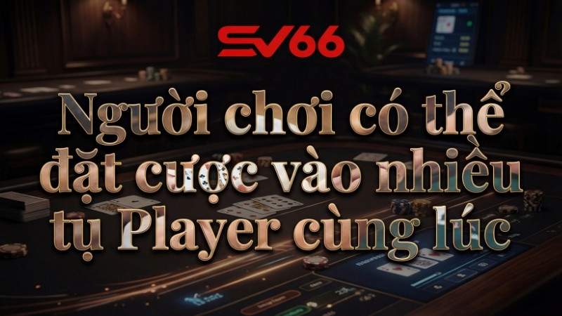 Người chơi có thể đặt cược vào nhiều tụ Player cùng lúc