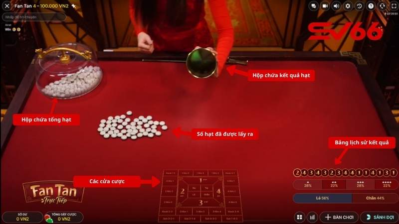 Quy trình đặt cược và trả thưởng Fantan Online