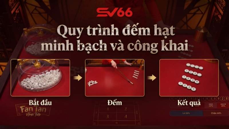 Quy trình đếm hạt minh bạch và công khai