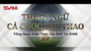 Thuật Ngữ Cá Cược Thể Thao – Tổng Quan Kiến Thức Cần Biết Tại SV66