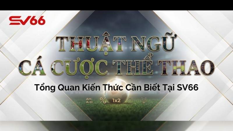 Thuật Ngữ Cá Cược Thể Thao – Tổng Quan Kiến Thức Cần Biết Tại SV66